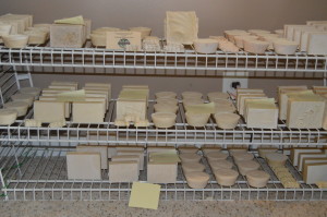 Soap Rack