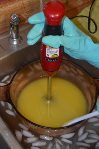 Immersion Blender