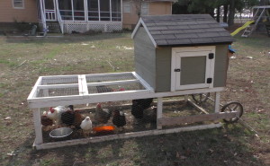 Chicken Tractor
