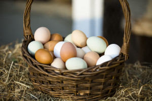 Eggs